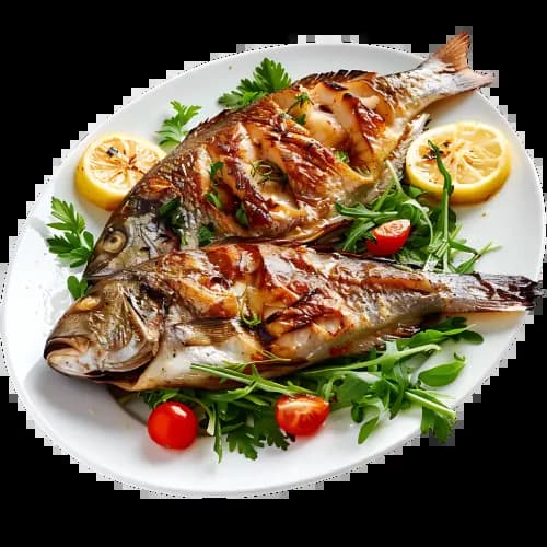 اسلایدر شماره 2